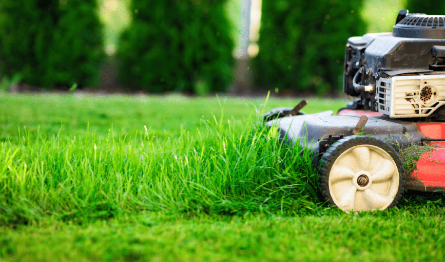 LAWN MOWING
